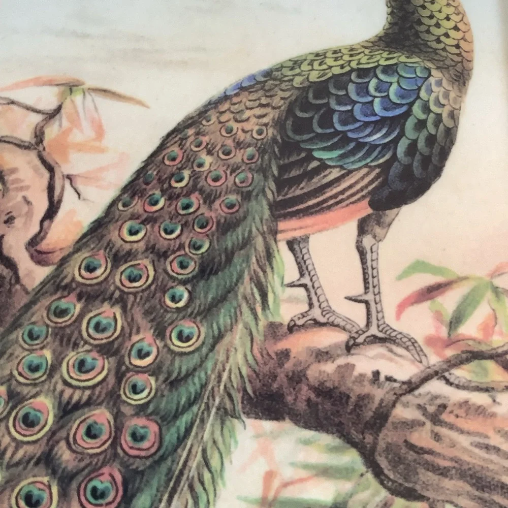 Pottery Barn Peacock Design Melanine Tray